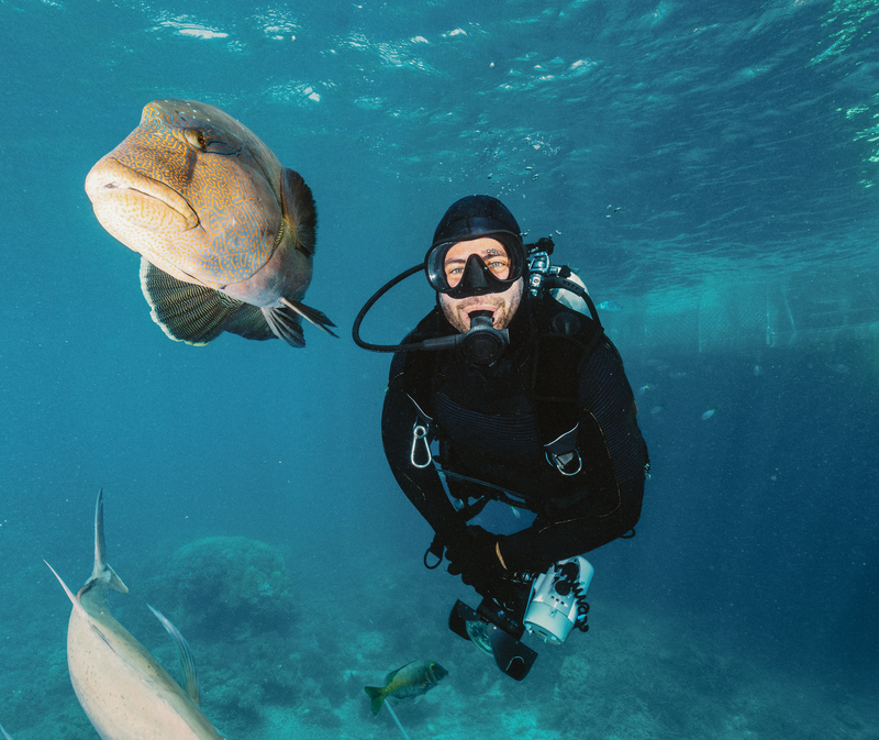 Diving
